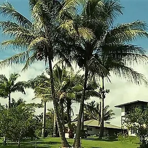 Island Goode'S - Luxury Adult Only Accommodation Near Hilo 4*, Papaikou United States